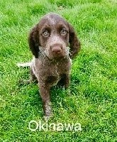 OKINAWA